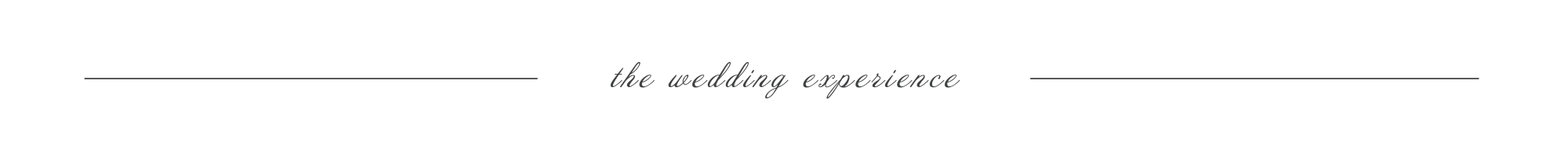 the wedding experience 